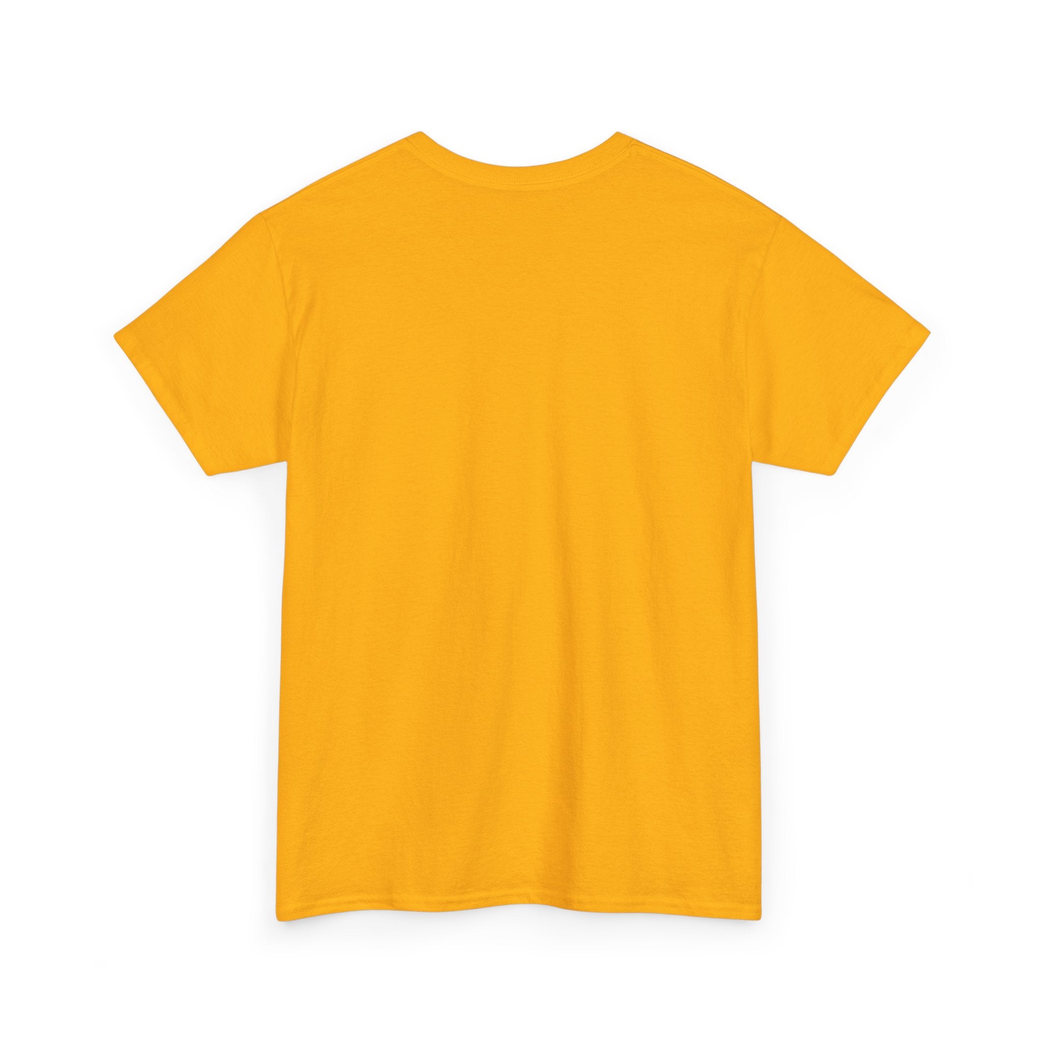 Unisex Heavy Cotton Tee - “ Those who hope in the Lord… “ Isaiah 40:31