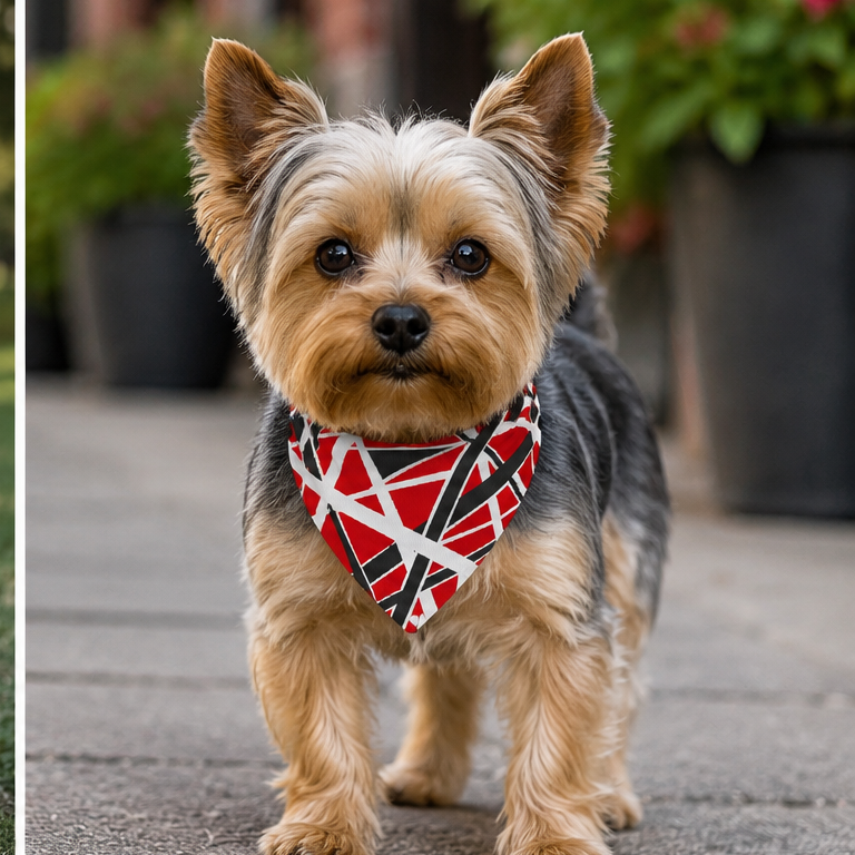 EVH Van Halen Clip-On Pet Bandana – Geometric Rocker Dog Collar Accessory